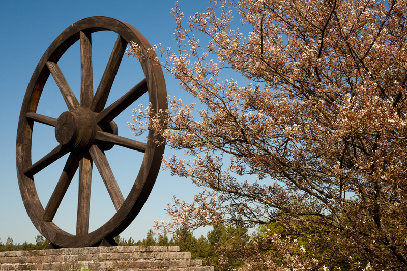 Ett konstverk av ett vagnshjul, i förgrunden ett blommande träd.