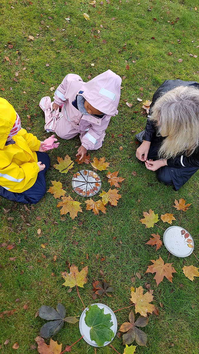 Barn och konstnär bygger konstverk ute i gräset med bl.a. löv
